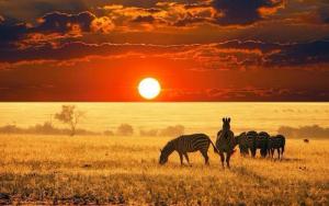 sunrise in africa.jpg